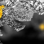 Binance delists Bitcoin SV following Craig Wright’s legal threats, BSV down 17%