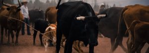 Investor: If bitcoin breaks $6,200, it may mark the start of a major bull run