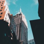 Bittrex fails to obtain BitLicense, New York regulators cite poor internal controls