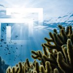 Ocean Protocol announces initial exchange offering (IEO) with Bittrex, but some traders are not happy