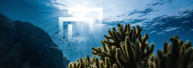 Ocean Protocol announces initial exchange offering (IEO) with Bittrex, but some traders are not happy