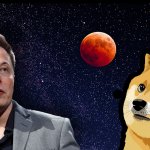 Dogecoin surges 68% in past week, Elon Musk jokes about it on Twitter