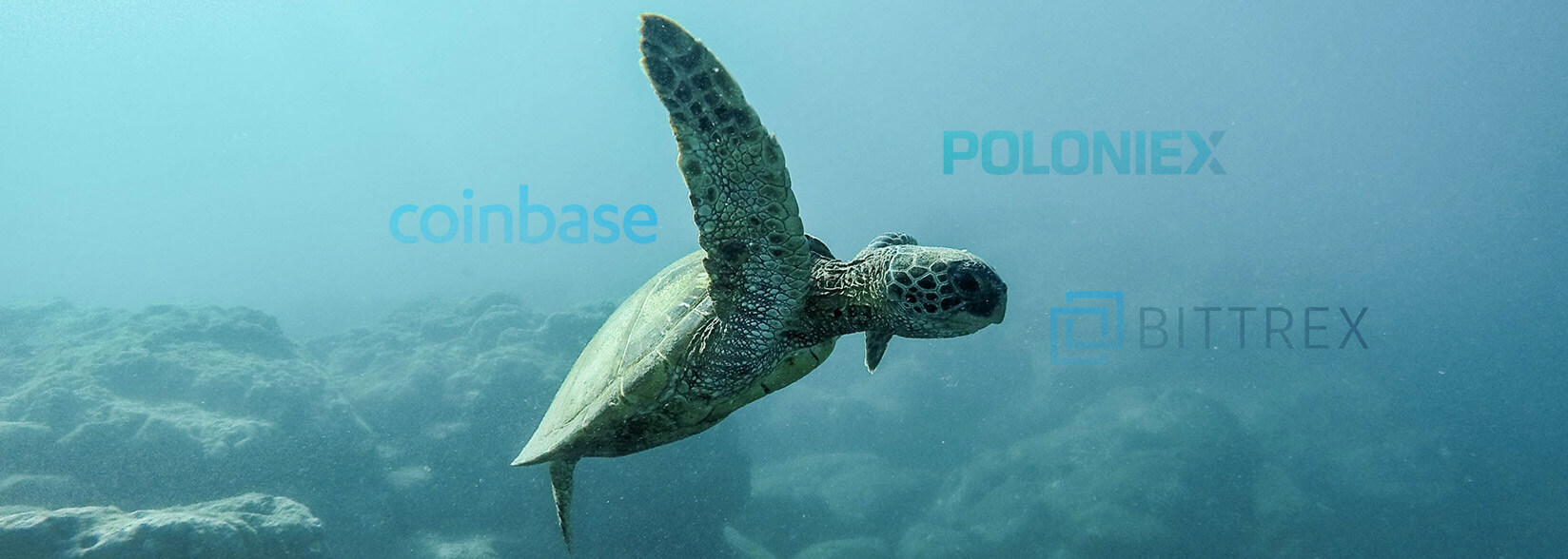 U.S. is falling behind in crypto exchange volume: is regulation to blame?