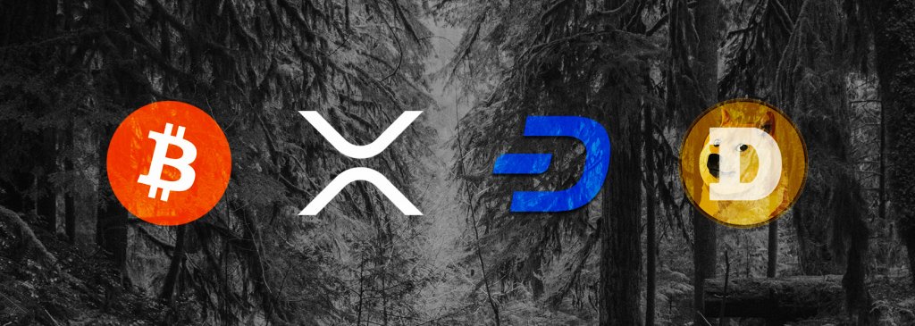 Analysis of active addresses: Bitcoin, XRP, Dash, and Dogecoin see major growth