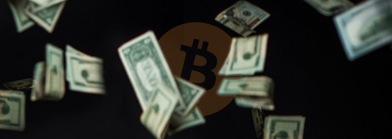 US dollar has lost 99.99% of its value against Bitcoin