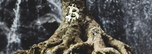 Taproot, the new update that will revolutionize the Bitcoin blockchain