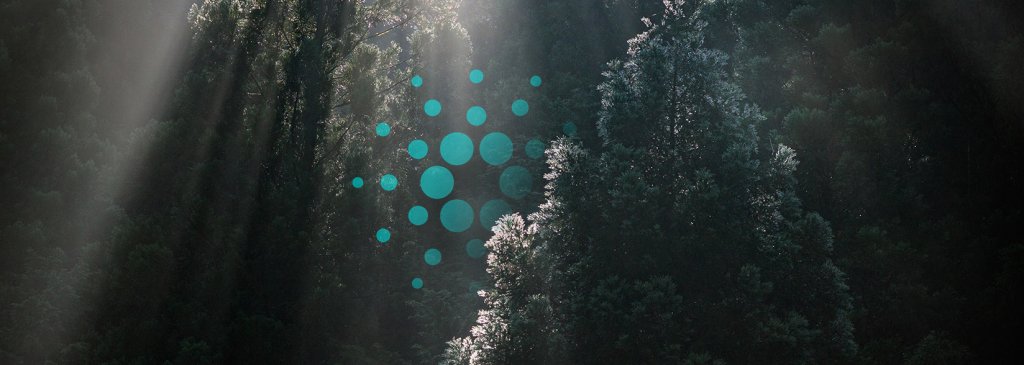 Cardano gains marketing momentum following internal restructuring