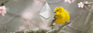 The curious case of Ethereum’s missing warrant canary