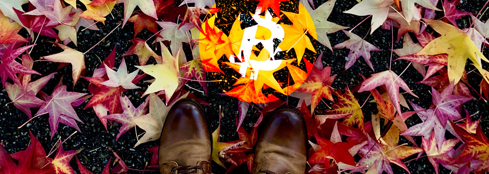 November on average the best-performing month for Bitcoin, January poorest