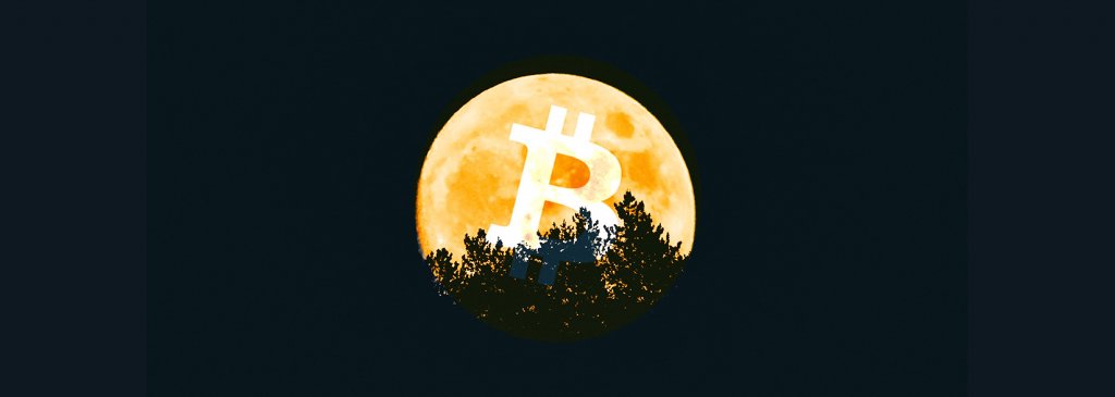 Analyst: unlike Litecoin, Bitcoin’s halving will have a significant effect on its price