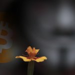 Alleged Bitcoin Ponzi scheme Plus Token could be liquidating billions of dollars in stolen crypto, says VC