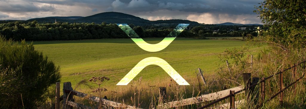 MoneyGram officially using XRP through Ripple’s xRapid for cross-border payments