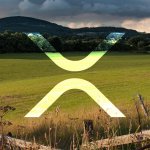 MoneyGram officially using XRP through Ripple’s xRapid for cross-border payments