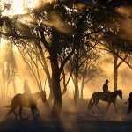 Cryptocurrency’s wild west is as wild as ever, but you can stay safe