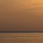 One of India’s last standing cryptocurrency exchanges—WazirX’s Nischal Shetty [INTERVIEW]