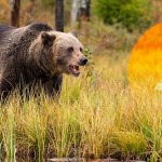 Bitcoin fails to recover as weekly volume on BitMEX drops 72% in 3 months, traders bearish