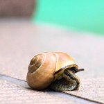 Billionaire investor warns of big economic slowdown; how will Bitcoin react?