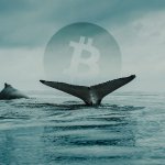 Why crypto execs say one investor did not manipulate Bitcoin to $20,000