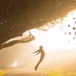 Transaction volume on Cardano’s network spikes amid new developments