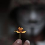 Twitter hack exploded the popularity of Bitcoin on social media