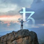 The Tezos Foundation incentivizes developers as XTZ turns bullish