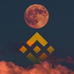 Data shows Binance Coin’s bullish sentiment is on the rise, can it translate to price?
