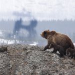 Why Bitcoin traders fear a significant pullback for the first time in 2 months