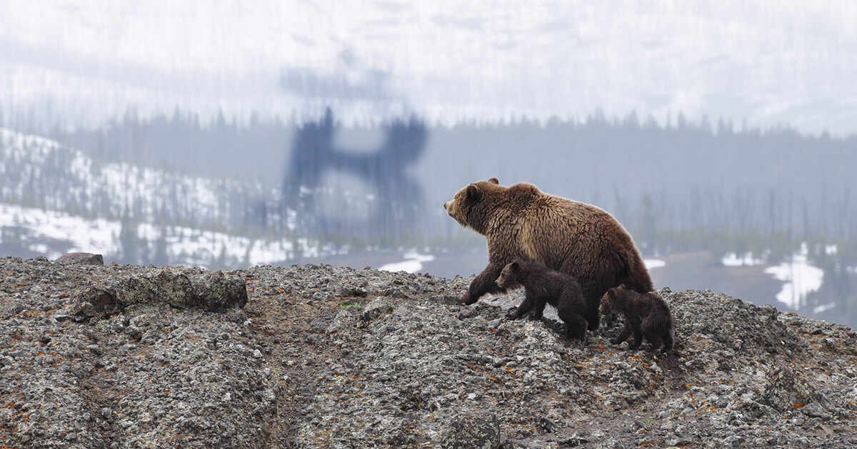 Why Bitcoin traders fear a significant pullback for the first time in 2 months