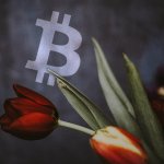 Craig Wright says there is a third Tulip Trust; what does this mean for Bitcoin?
