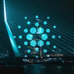 New faces at the Cardano foundation highlight the need for general strategy