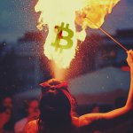 What is pro-BTC and is it good for Bitcoin and crypto adoption?