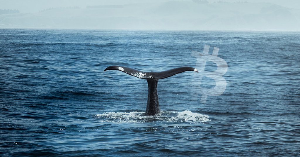 Bitcoin whale activity suggests July could be a great month for BTC