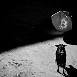 Here’s why this crypto bull run may be different