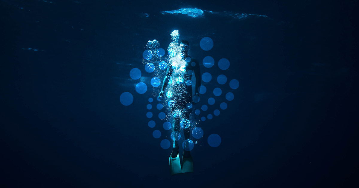 IOTA takes a nosedive following Trinity wallet hack