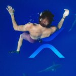 XRP plummets to $0.24 as analysts watch for capitulatory move to 2020 lows