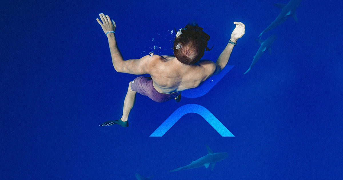 XRP plummets to $0.24 as analysts watch for capitulatory move to 2020 lows