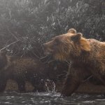 Whales might be dumping Bitcoin on Grayscale, and a fund manager calls it “very bearish”