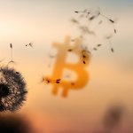 What’s holding Bitcoin back – business or consumers?