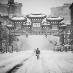 Chinese President Xi Jinping praises blockchain again, hints at one key application