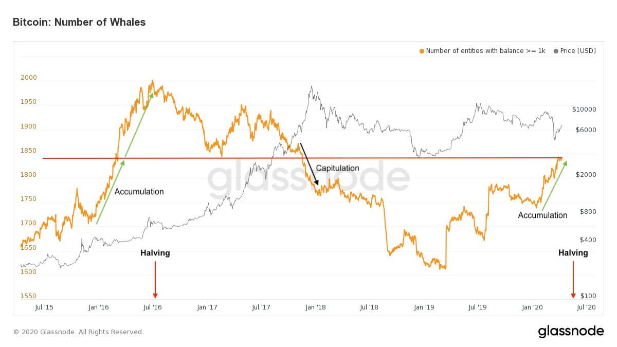 Bitcoin whale growth is macro bullish, but will it be enough to stop ...