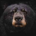 $663 million liquidated after Bitcoin wicks under $57,000