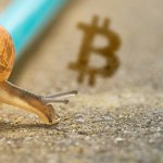 Cardano founder Charles Hoskinson: Bitcoin (BTC) is an example of low development velocity