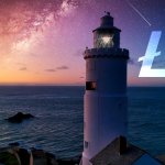 Key data metrics flip short for Litecoin as large transaction volume dives