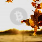 Analyst “surprised” Bitcoin Cash has escaped an attack after 30% hash rate drop, but BCH proponent hits back