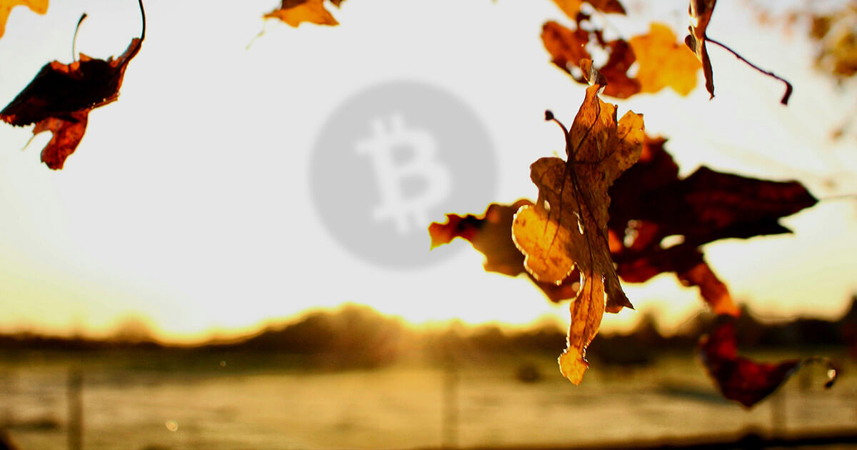 Analyst “surprised” Bitcoin Cash has escaped an attack after 30% hash rate drop, but BCH proponent hits back