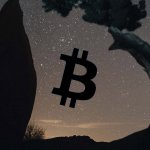 Former Goldman Sachs exec: Bitcoin price rallying to $500,000 “achievable” due to macroeconomic trends