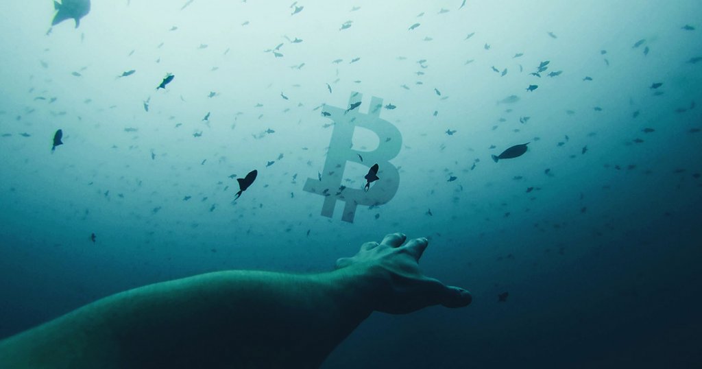 On-chain metrics spell trouble as Bitcoin dips below $9,000