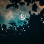 Data reveals how 2020’s Bitcoin halving has a drastic fundamental difference than the past two