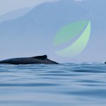 Bitfinex whales are flipping short on Bitcoin as institutions grow more active than ever