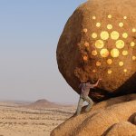 Cardano (ADA) continues showing signs of strength as development activity booms